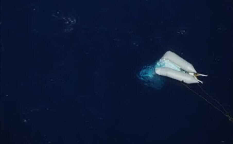 lo scatto (foto da twitter seawatch)