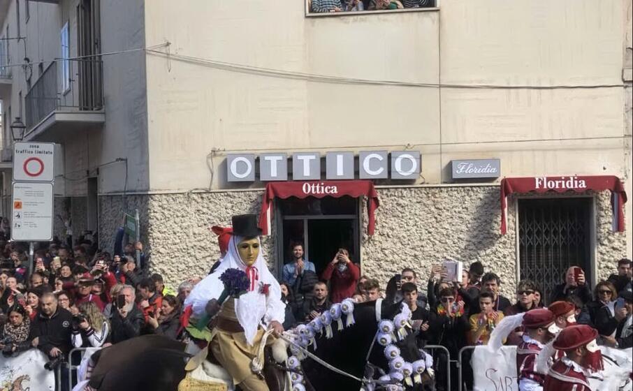 (foto l unione sarda pinna)