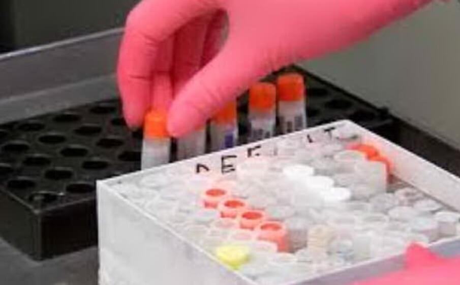 Test del sangue sperimentale identifica cinque tumori con 4 anni di anticipo Test del sangue sperimentale identifica cinque tumori con 4 anni di anticipo