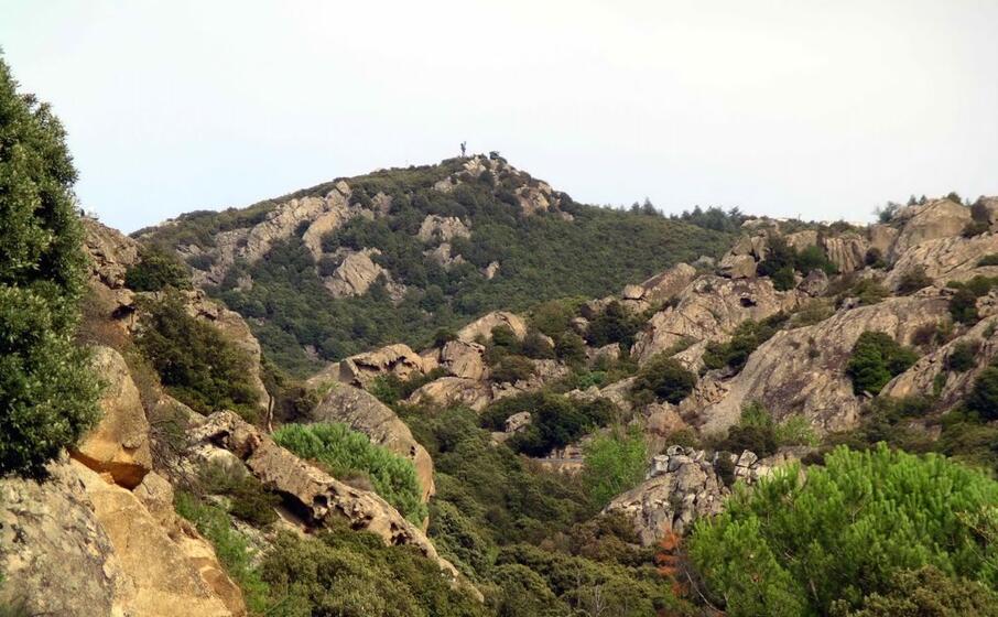 il monte ortobene (foto wikipedia)
