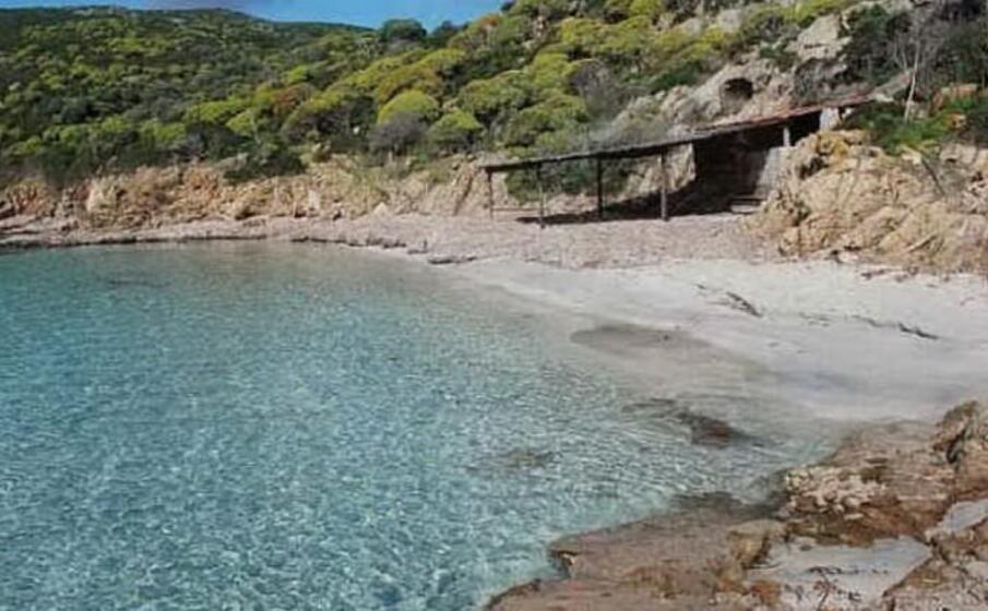 scorcio all asinara (archivio l unione sarda pala)