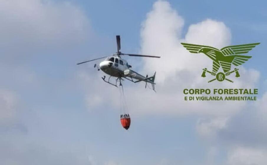 un intervento (foto corpo forestale)