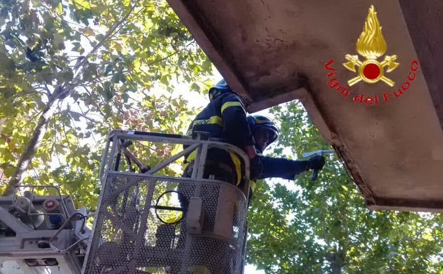 (foto vigili del fuoco di nuoro)