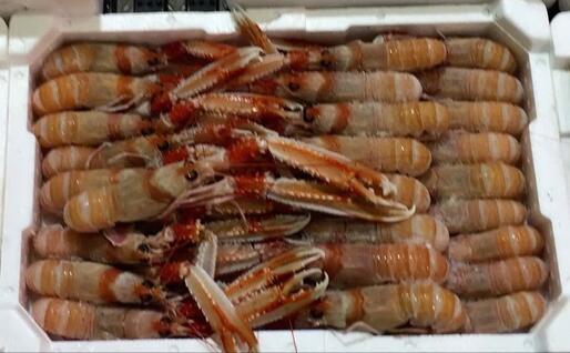 Scampi al mercato (foto Piras)