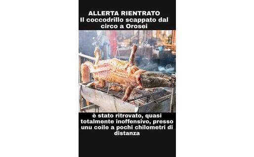 Un altro "meme" (foto da Google)