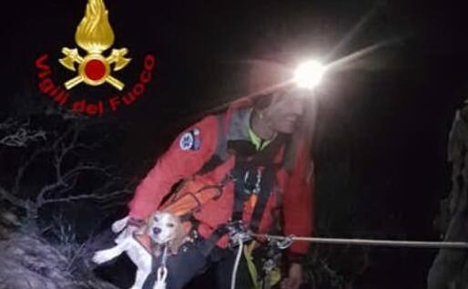 Il salvataggio (foto Vigili del Fuoco)