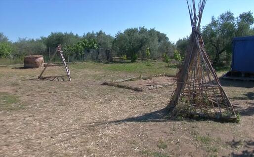 Il giardino (L'Unione Sarda - Deidda)