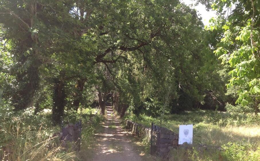 uno scorcio di badde salighes nel cuore del marghine (foto a nachira)