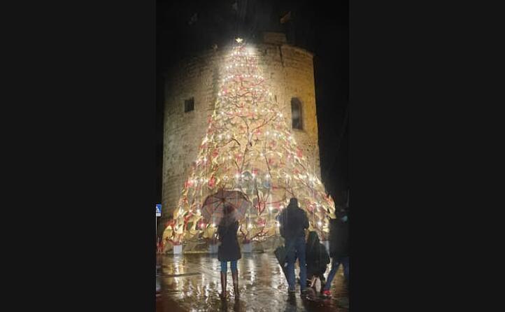 buon natale da alghero lo scatto di antonio spanu