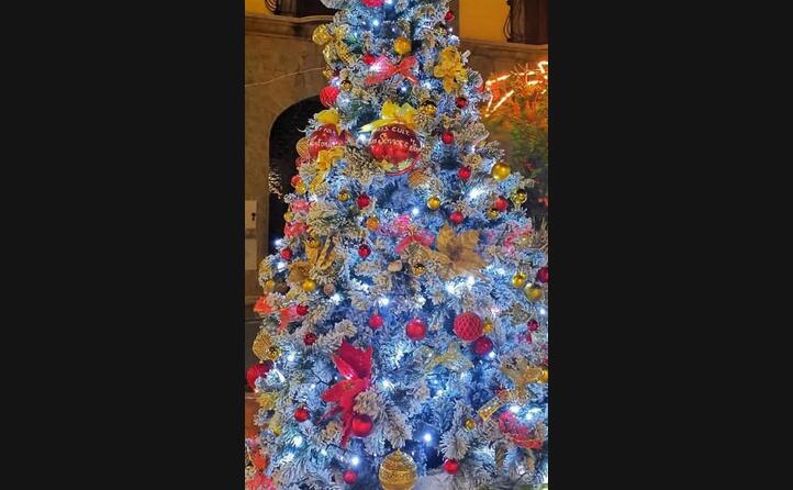 da maracalagonis il luminoso albero dell associazione culturale folklorica sant antonio e associazione culturale nostra sennor e itri
