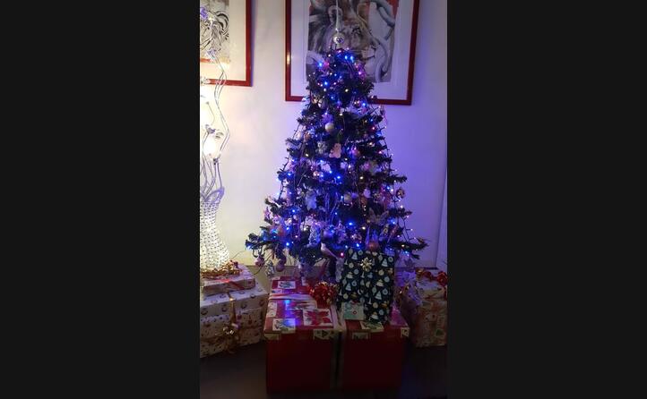 dalla svizzera l albero della famiglia sturru