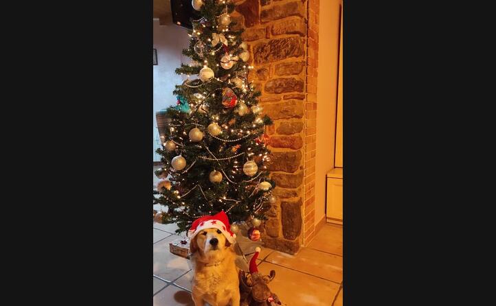 la foto di stefania e tobia da simala