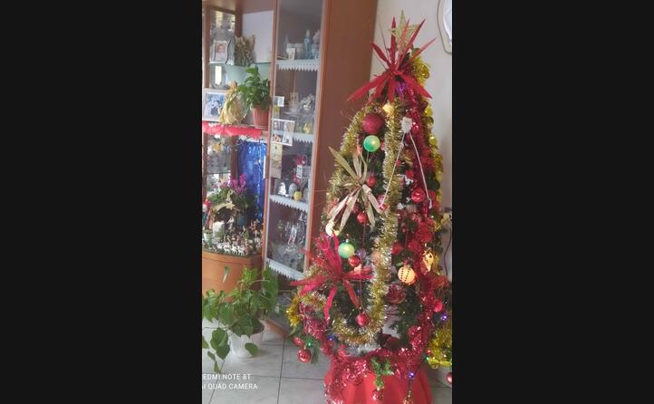 le decorazioni della famiglia oppo murru paulilatino