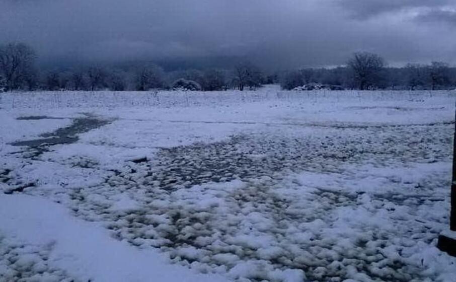 la zona del monte a bonorva (foto concessa)