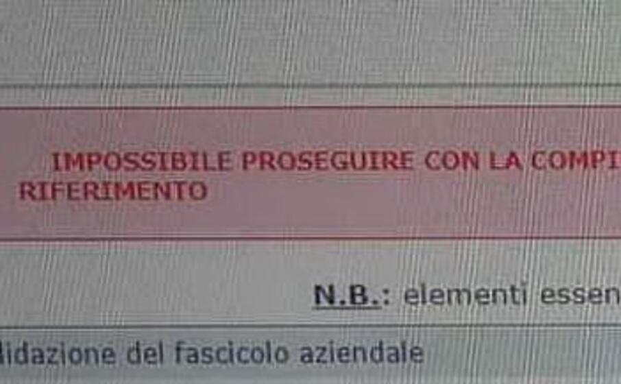 la schermata di errore (ansa)