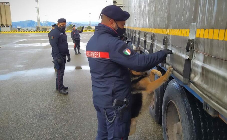 (foto carabinieri)