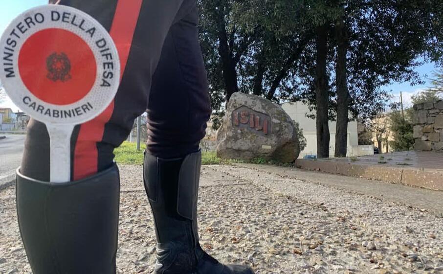 (foto serreli)