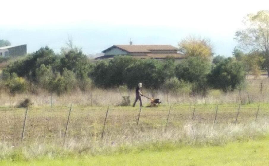 il pensionato a lavoro in campagna (foto concessa)