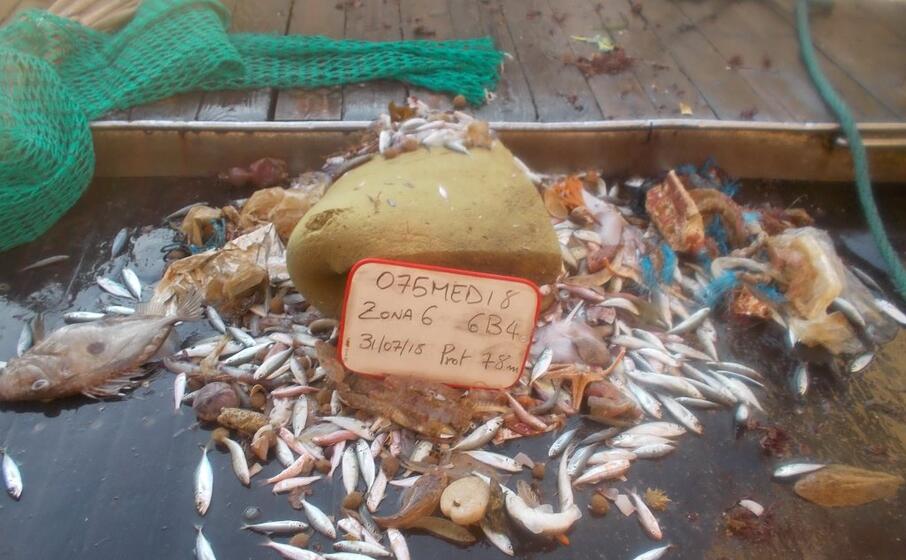 rifiuti con pesci catturati in profondit (foto unica)