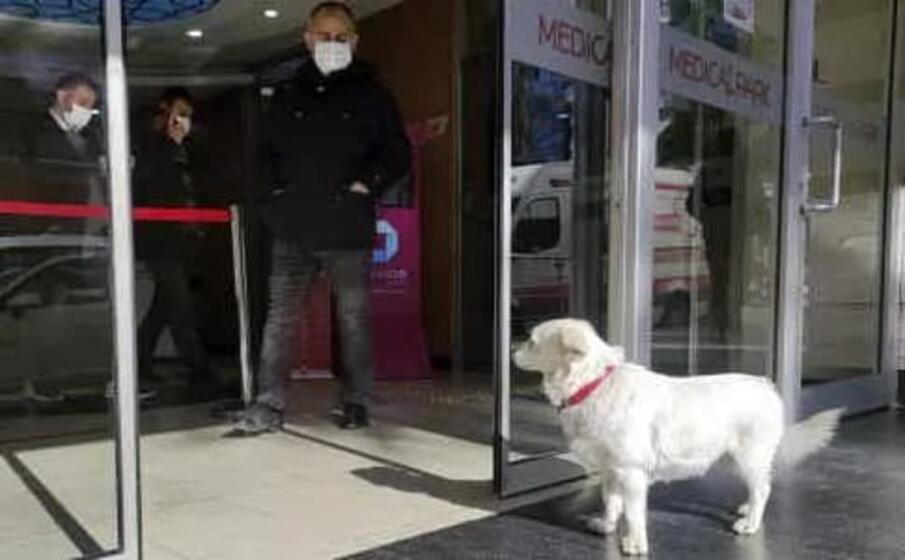 boncuk davanti all ospedale (da youtube)