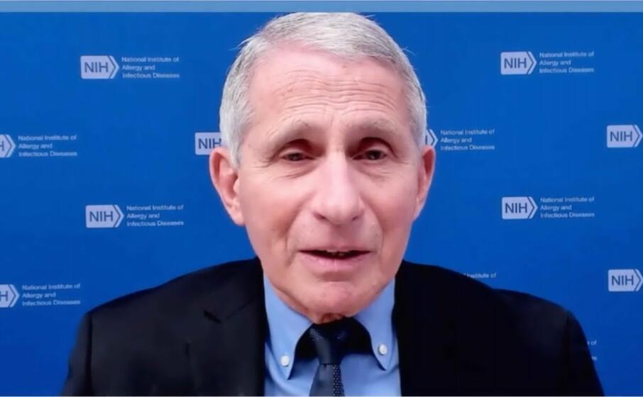 anthony fauci (foto ansa epa)