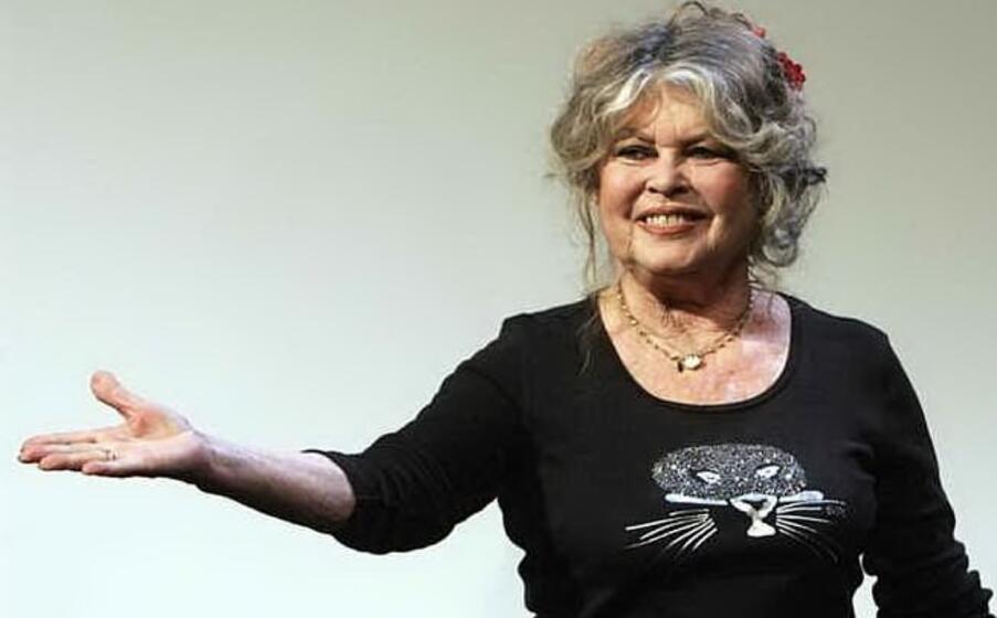 brigitte bardot (foto ansa)