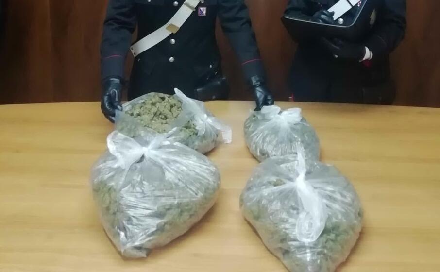la marijuana (foto carabinieri)