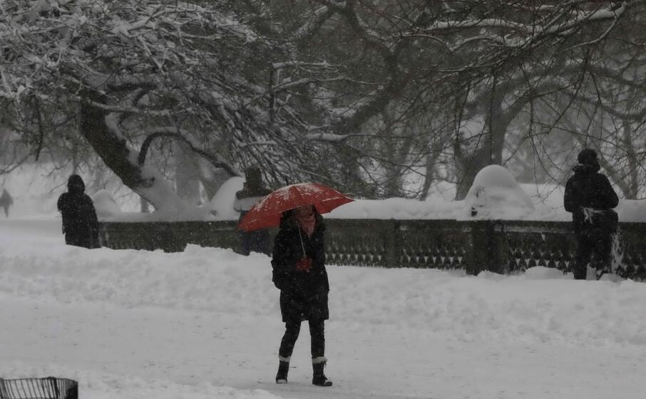 una donna a central park