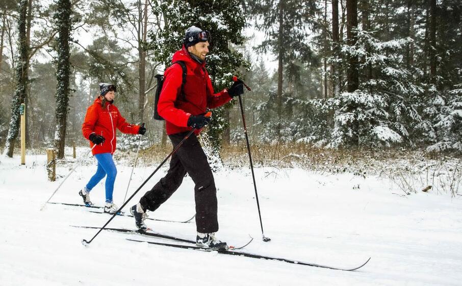 molti parchi si sono trasformati in piste da sci