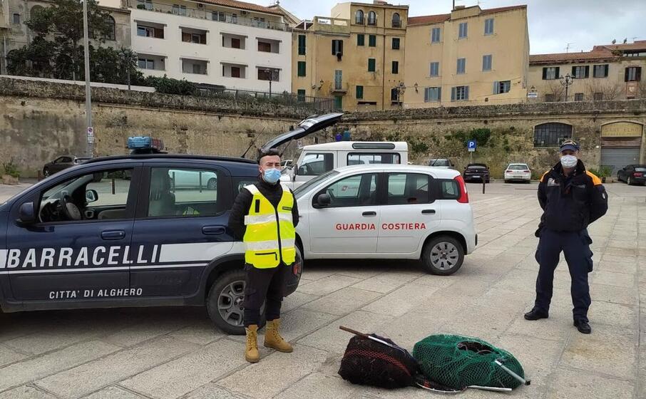 i ricci (foto ufficio stampa)