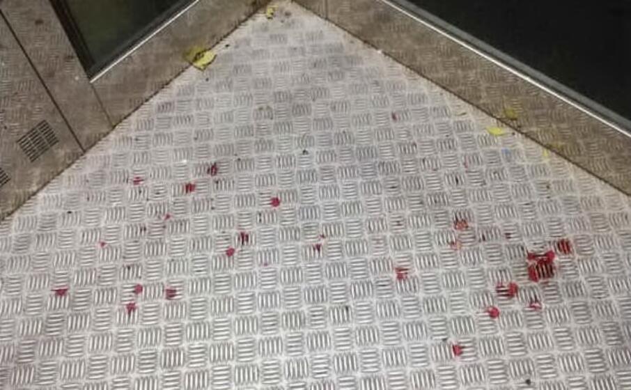 lo scatto inviato dalla lettrice