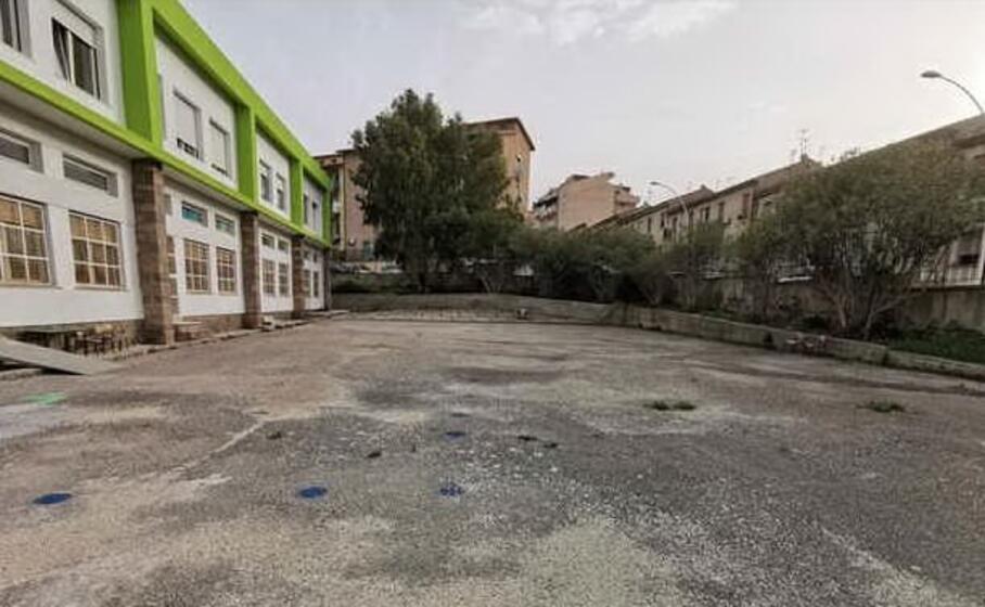 (foto inviata dalla lettrice)