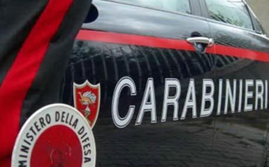 immagine simbolo (ansa)