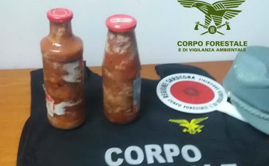 (foto corpo forestale)