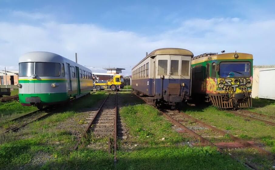 trenta le carrozze storiche sequestrate
