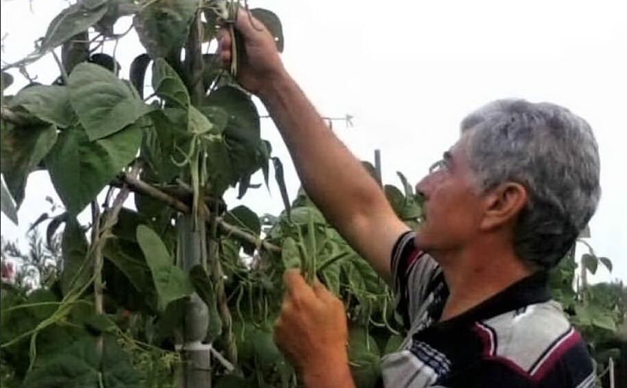 uno dei proprietari dei terreni di pesaria (foto sanna)