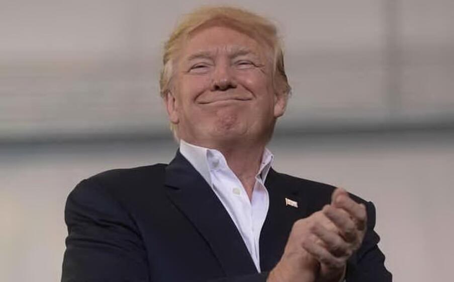 donald trump (ansa)