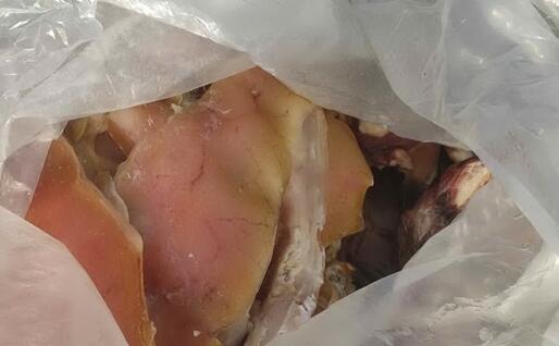 Gli scarti di macellazione nascosti nelle buste (foto Murgana)