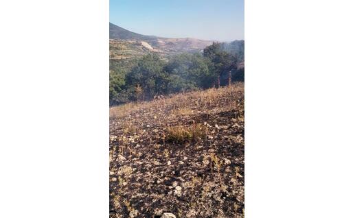 L'area percorsa dall'incendio (foto L'Unione Sarda - Pintori)