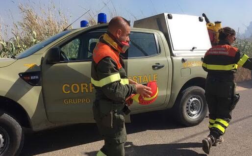 La forestale sul posto