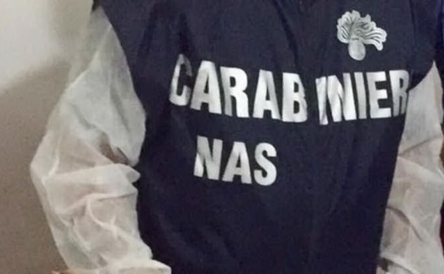 (ansa)