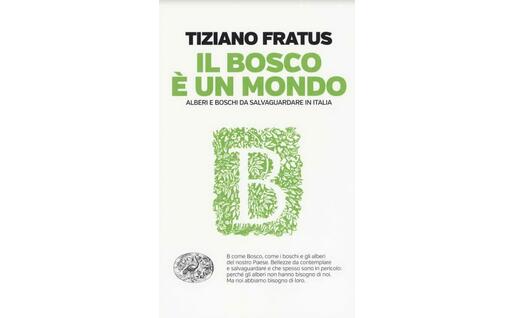La copertina del libro di Fratus