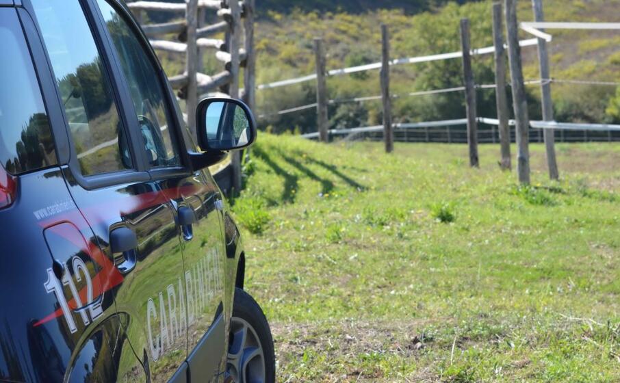 (foto carabinieri)