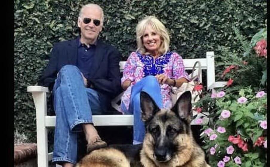 joe e jill biden con il cane champ (foto instagram)
