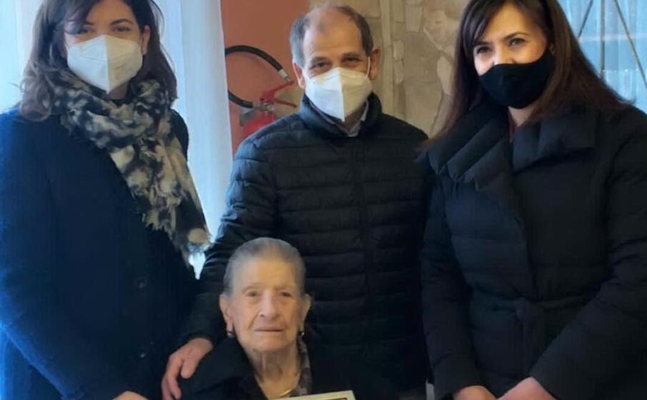 pinnuccia 100 pinnuccia 100