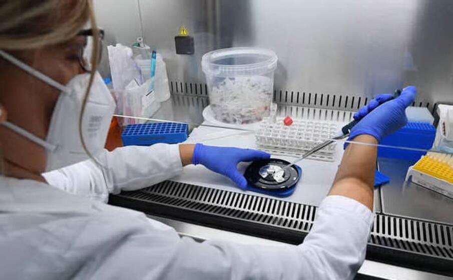 Covid Sicilia, dati falsi su pandemia a Iss: arresti Covid Sicilia, dati falsi su pandemia a Iss: arresti