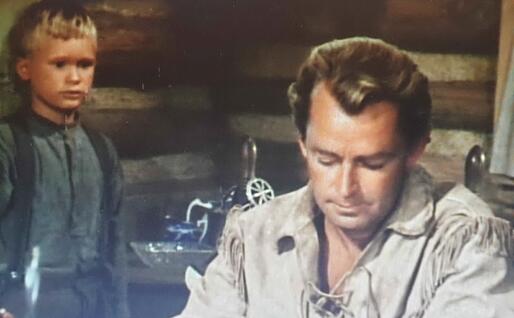 Alan Ladd in "Il cavaliere della valle solitaria"